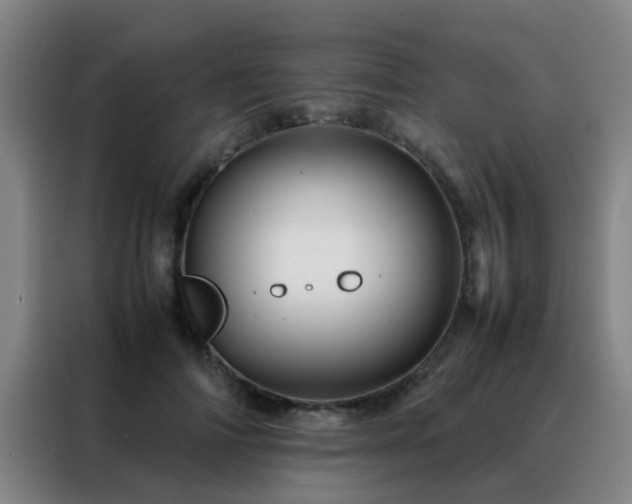 X0000088130698200705211116