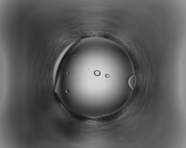 X0000088130699200705211116