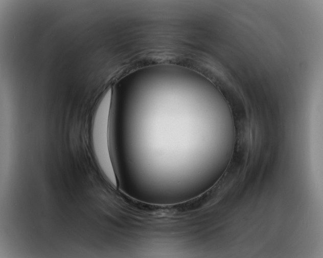 X0000088130700200705211116