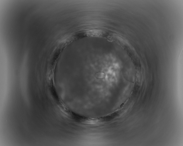 X0000088130701200705211116