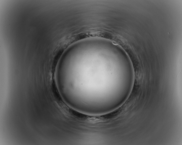 X0000088130703200705211116