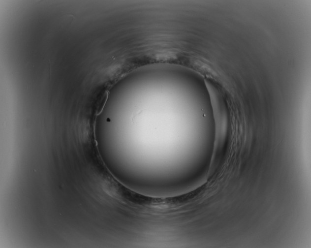 X0000088130704200705211116