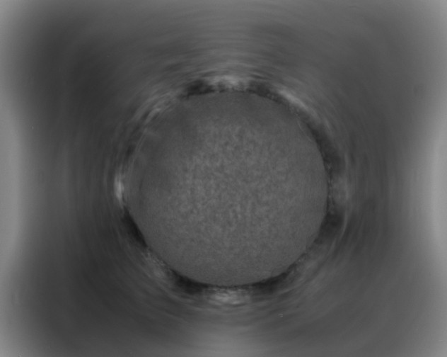 X0000088130709200705211116