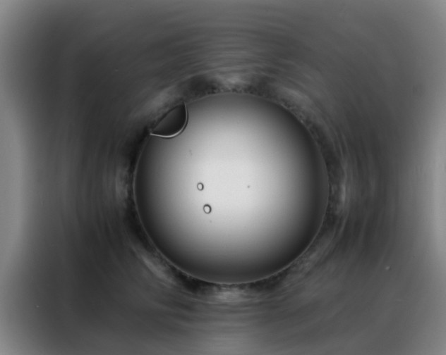 X0000088130710200705211116