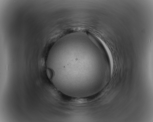 X0000088130711200705211116