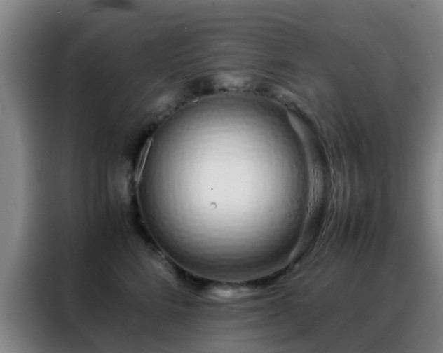 X0000088130712200705211116