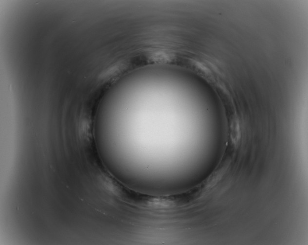 X0000088130714200705211116