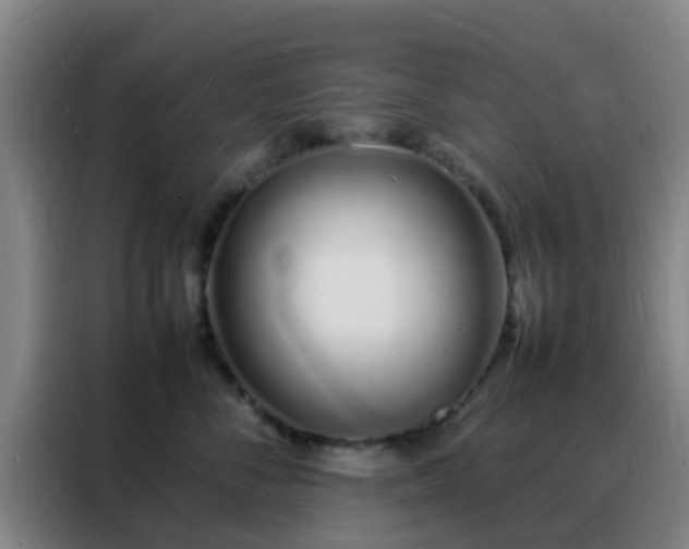 X0000088130716200705211116