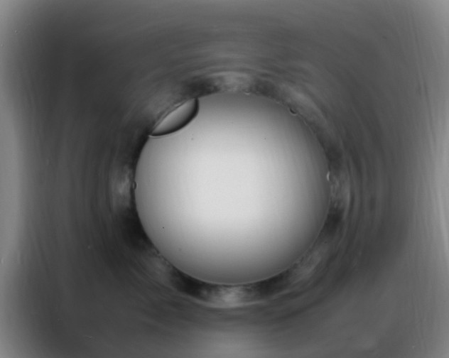 X0000088130717200705211116