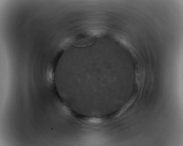 X0000088130718200705211116