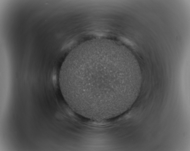 X0000088130720200705211115