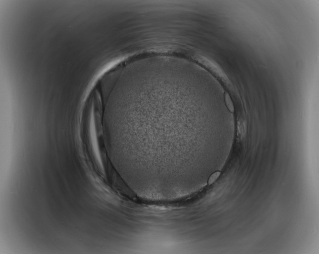 X0000088130724200705211115