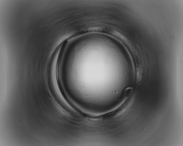 X0000088130725200705211115