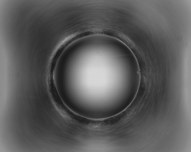 X0000088130728200705211115