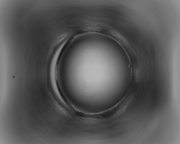 X0000088130729200705211115