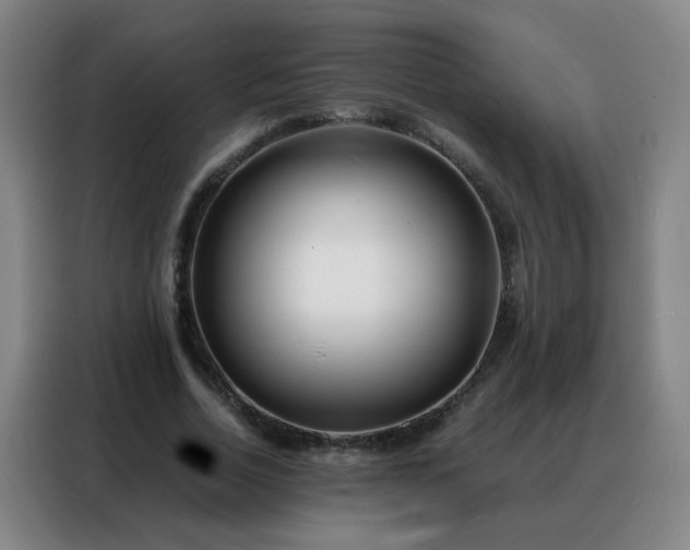 X0000088130730200705211115