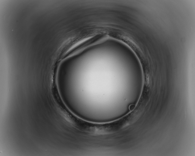 X0000088130733200705211115