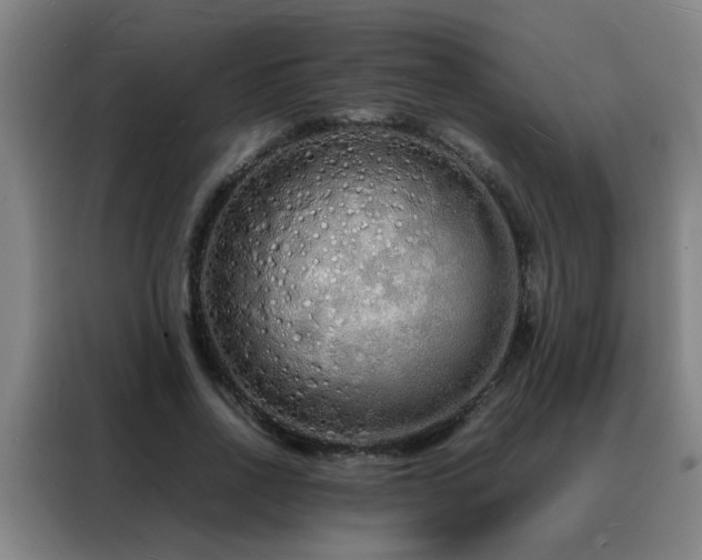 X0000088130734200705211115