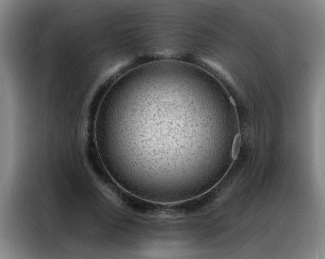 X0000088130736200705211115