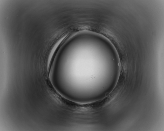 X0000088130737200705211115