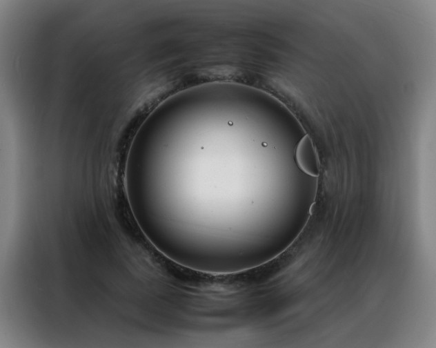 X0000088130739200705211115