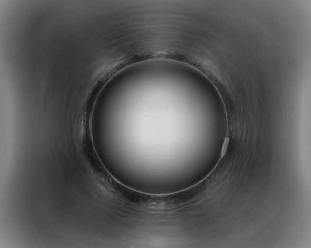 X0000088130740200705211115