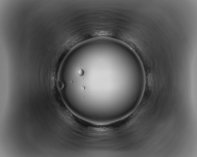 X0000088130741200705211115