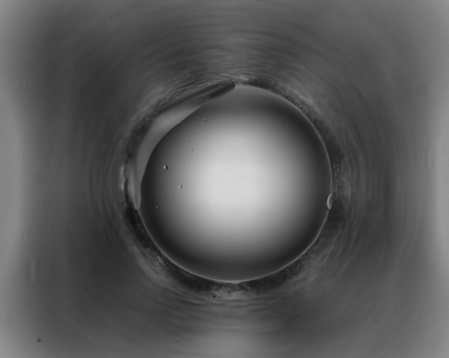 X0000088130742200705211115