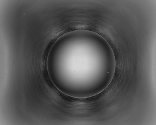 X0000088130743200705211115