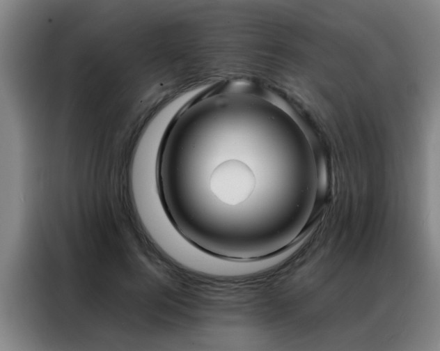 X0000088130744200705211115