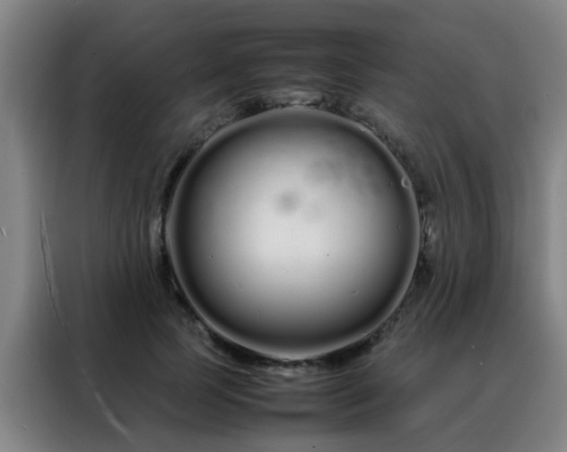 X0000088130745200705211115