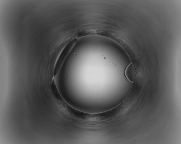 X0000088130746200705211115