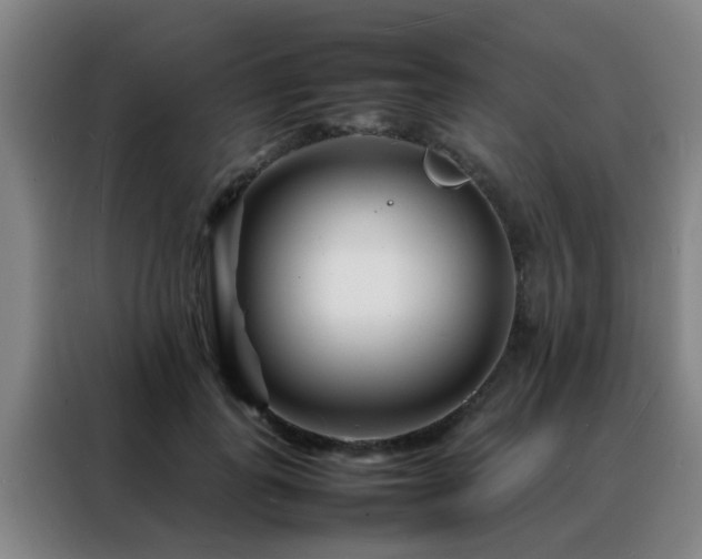 X0000088130747200705211115