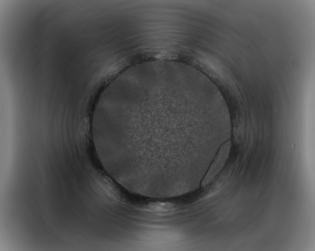 X0000088130748200705211115