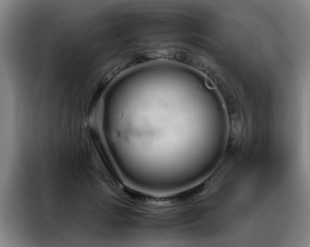 X0000088130749200705211115