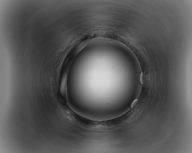 X0000088130750200705211115