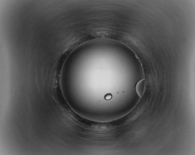 X0000088130751200705211115