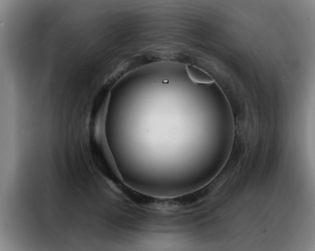 X0000088130752200705211115