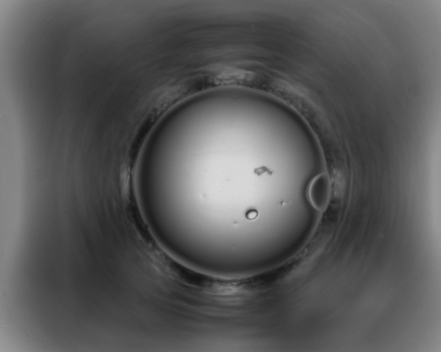 X0000088130753200705211115