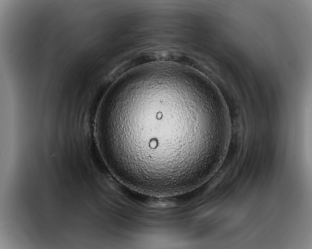 X0000088130754200705211115