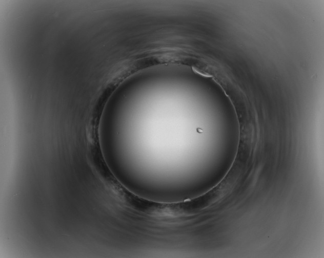 X0000088130755200705211115