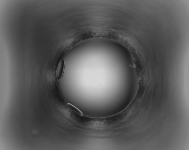 X0000088130756200705211115