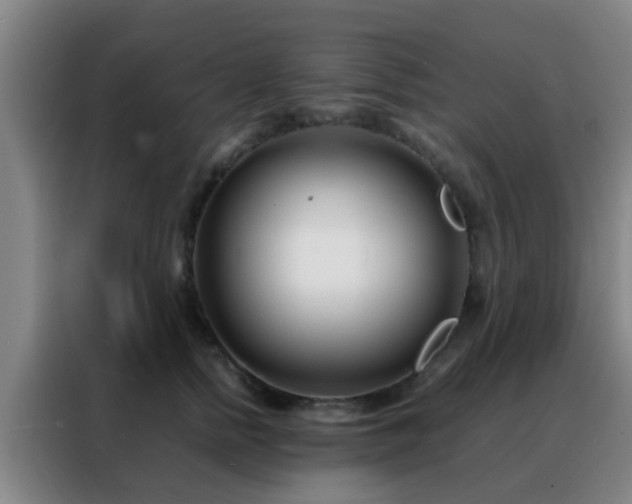 X0000088130758200705211115