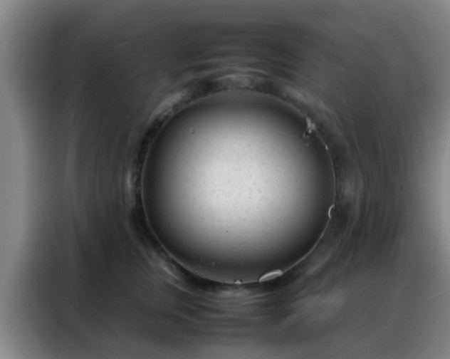 X0000088130759200705211115