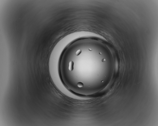 X0000088130762200705211115