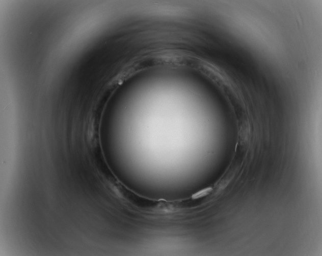 X0000088130764200705211115