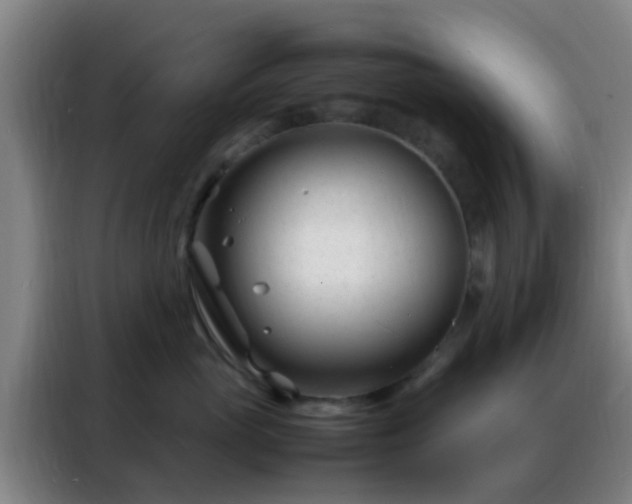 X0000088130765200705211115