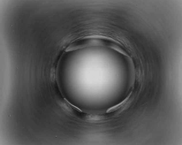 X0000088130766200705211115