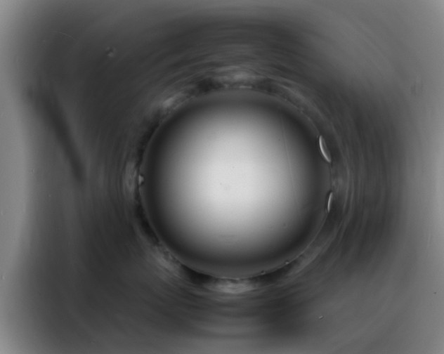 X0000088130767200705211115