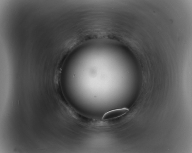 X0000088130768200705211115